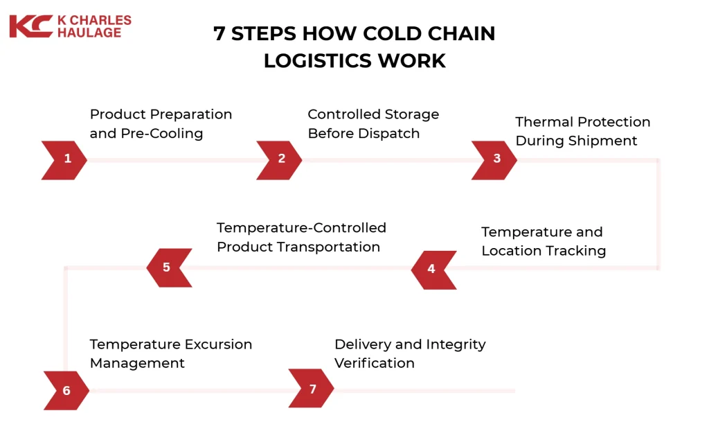 Flowchart showing 7 steps of cold chain logistics from product prep to delivery.