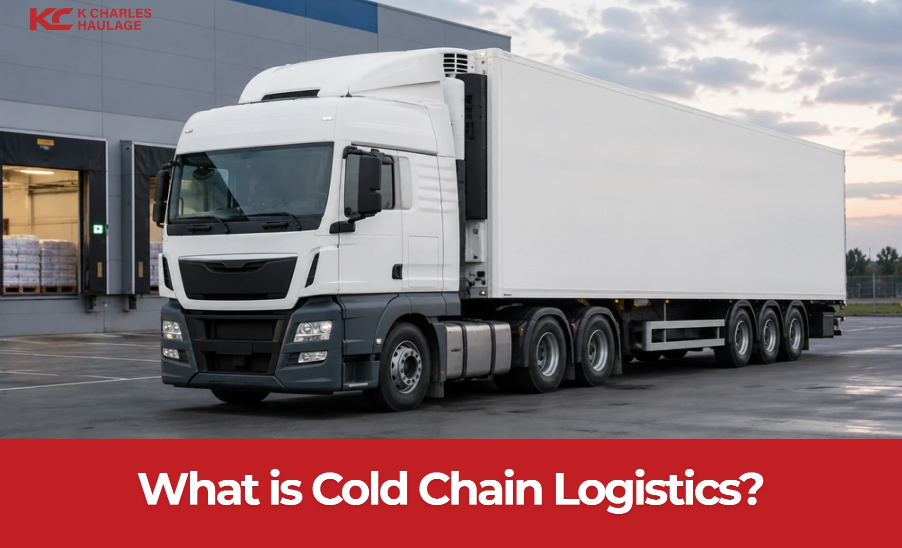 what is cold chain logistics